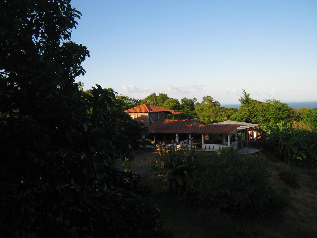Hotel El Mirador Ecologico, Ometepe Altagracia Zewnętrze zdjęcie