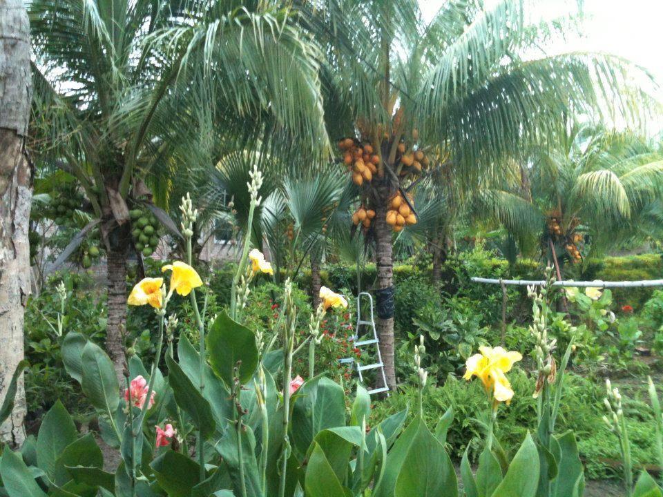Hotel El Mirador Ecologico, Ometepe Altagracia Zewnętrze zdjęcie